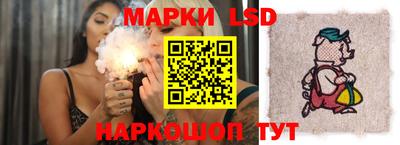крисы Краснознаменск
