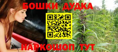 крисы Краснознаменск