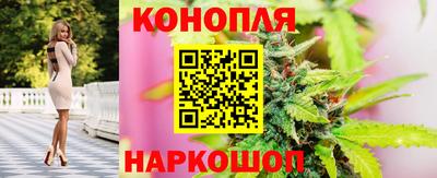 крисы Краснознаменск