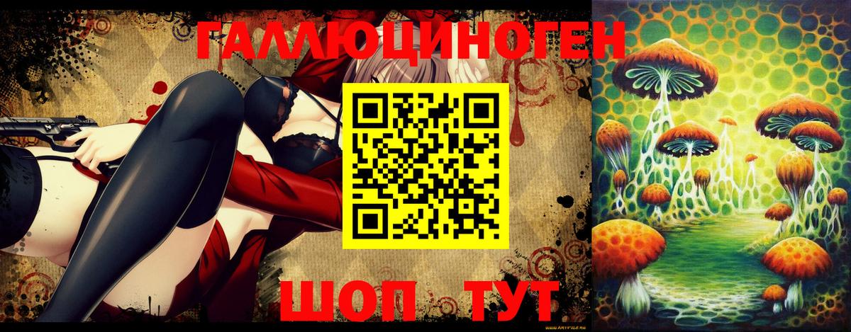 Псилоцибиновые грибы Psilocybe Выкса